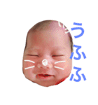 まーとん（個別スタンプ：18）