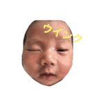まーとん（個別スタンプ：24）