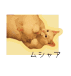 ひとみのねこ（個別スタンプ：39）