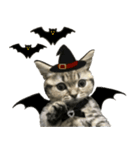ミヌエットのショコラ子猫写真3ハロウィン（個別スタンプ：13）
