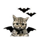 ミヌエットのショコラ子猫写真3ハロウィン（個別スタンプ：14）
