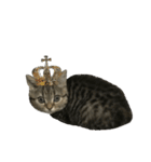 ミヌエットのショコラ子猫写真3ハロウィン（個別スタンプ：17）