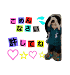 mamano.stampp（個別スタンプ：15）