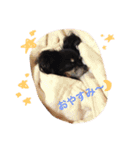 わさびくんスタンプ（個別スタンプ：3）