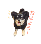 わさびくんスタンプ（個別スタンプ：8）