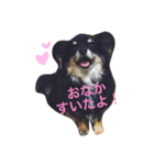 わさびくんスタンプ（個別スタンプ：16）