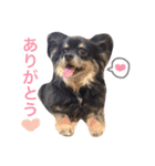 わさびくんスタンプ（個別スタンプ：24）
