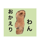 korosukedesuga（個別スタンプ：6）
