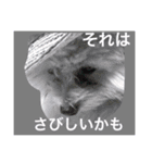 korosukedesuga（個別スタンプ：10）