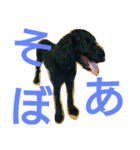 stamp of standard poodle（個別スタンプ：4）