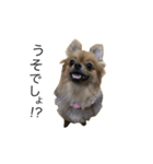 はらぺこむぎ（個別スタンプ：3）