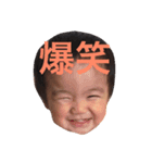 しょうりのスタンプ（個別スタンプ：8）