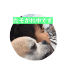 しょうりのスタンプ（個別スタンプ：16）
