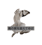 変な犬 くぅ（個別スタンプ：7）