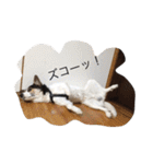 変な犬 くぅ（個別スタンプ：14）