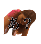 PANIE stamp（個別スタンプ：2）