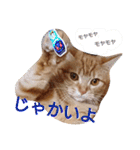 イトの宮崎弁（個別スタンプ：1）