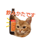 イトの宮崎弁（個別スタンプ：2）