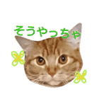 イトの宮崎弁（個別スタンプ：3）