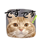 イトの宮崎弁（個別スタンプ：4）