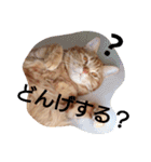 イトの宮崎弁（個別スタンプ：5）
