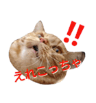 イトの宮崎弁（個別スタンプ：6）
