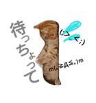 イトの宮崎弁（個別スタンプ：7）