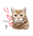 イトの宮崎弁（個別スタンプ：9）