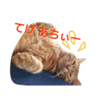イトの宮崎弁（個別スタンプ：10）