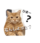 イトの宮崎弁（個別スタンプ：12）