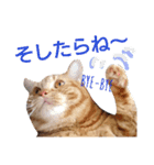 イトの宮崎弁（個別スタンプ：13）