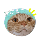 イトの宮崎弁（個別スタンプ：17）