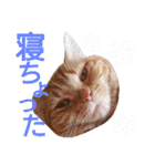 イトの宮崎弁（個別スタンプ：19）