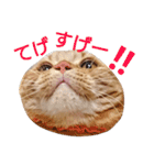 イトの宮崎弁（個別スタンプ：20）