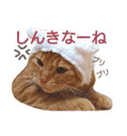 イトの宮崎弁（個別スタンプ：21）
