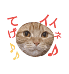 イトの宮崎弁（個別スタンプ：23）