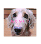 おおたもこくんです（個別スタンプ：3）