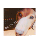 おおたもこくんです（個別スタンプ：8）
