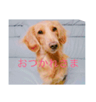 おおたもこくんです（個別スタンプ：21）