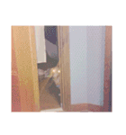 おおたもこくんです（個別スタンプ：23）