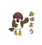 スズメのキリちゃん（個別スタンプ：1）