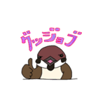 スズメのキリちゃん（個別スタンプ：16）