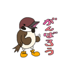 スズメのキリちゃん（個別スタンプ：24）