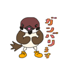 スズメのキリちゃん（個別スタンプ：25）
