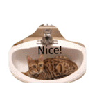 にゃんベンガルズ（個別スタンプ：8）