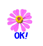 kikimama Flower Sticker英語版（個別スタンプ：7）