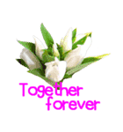 kikimama Flower Sticker英語版（個別スタンプ：29）
