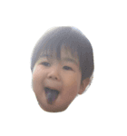 musukoabcd（個別スタンプ：4）