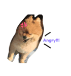 そらくんのきもち。（個別スタンプ：5）