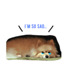 そらくんのきもち。（個別スタンプ：7）